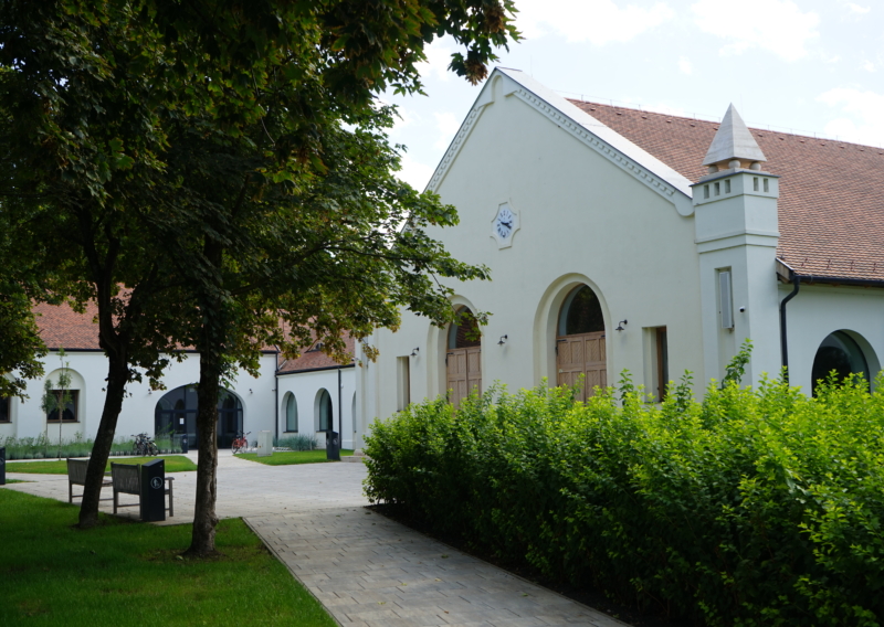 Mezőhegyes, Iskola